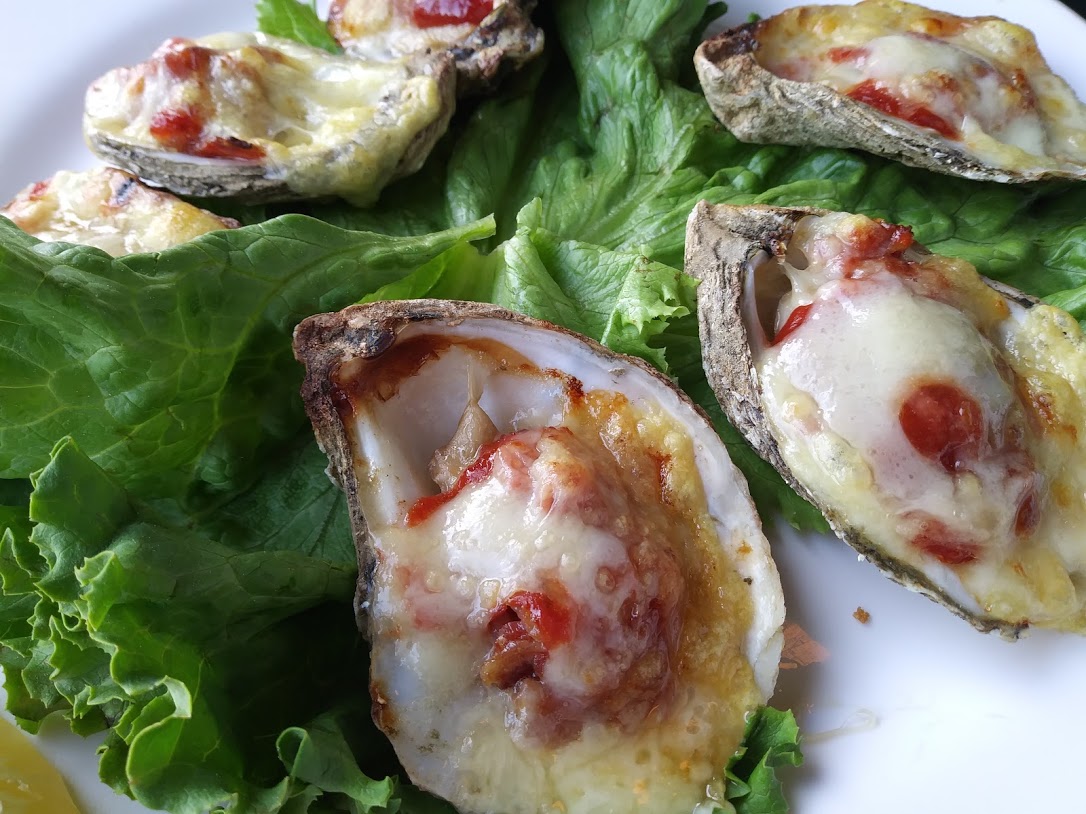 Oysters