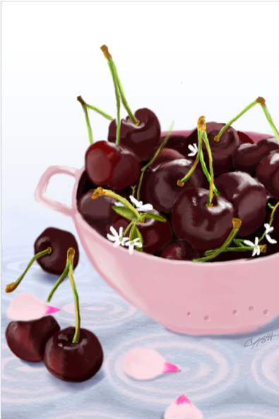 Cherries illustration