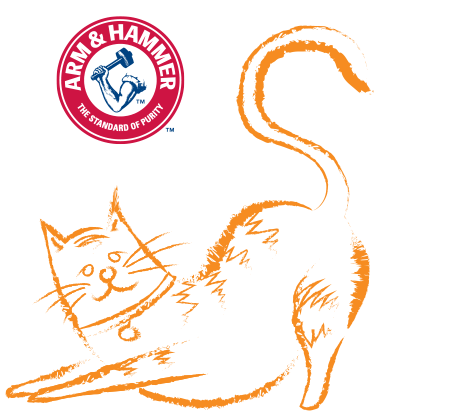 Arching cat animation